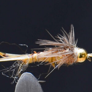 FlyCF1131_899