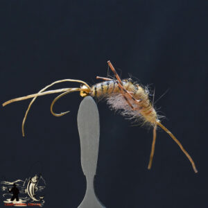 FlyCF1131_900