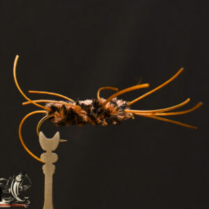 FlyCF1131_901
