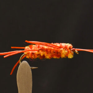 FlyCF1131_905