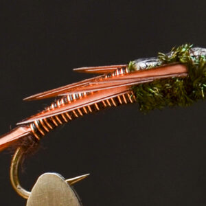 FlyCF1131_907