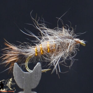 FlyCF1131_908