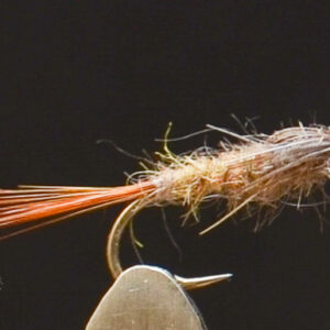 FlyCF1131_909