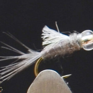 FlyCF1131_913