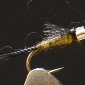 FlyCF1131_914