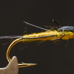 FlyCF1131_915