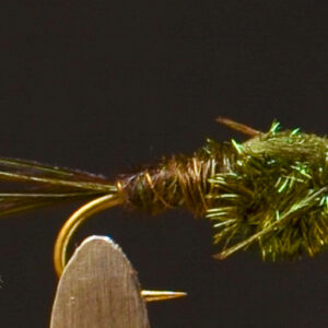 FlyCF1131_916