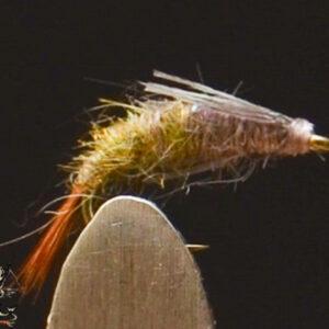 FlyCF1131_917