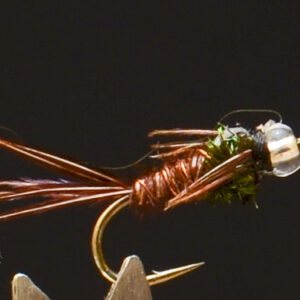 FlyCF1131_918