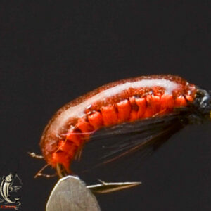 FlyCF1131_919