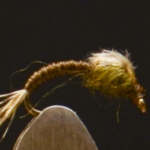 FlyCF1131_921