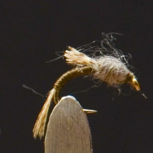 FlyCF1131_922