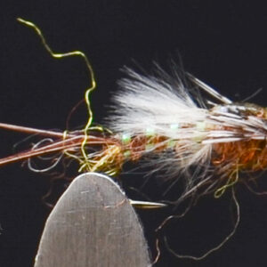 FlyCF1131_923