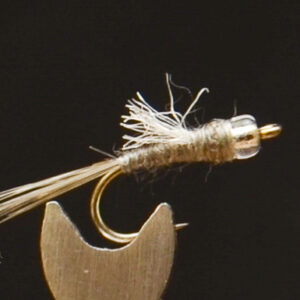 FlyCF1131_924
