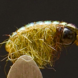 FlyCF1131_925