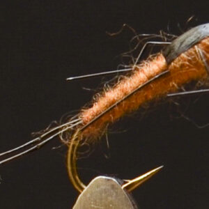 FlyCF1131_926