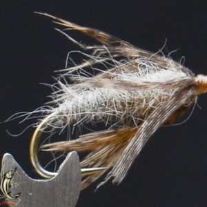FlyCF1131_927