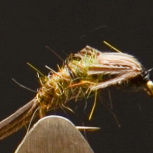 FlyCF1131_928