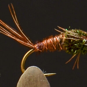 FlyCF1131_929