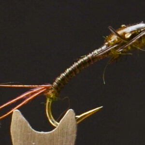FlyCF1131_931