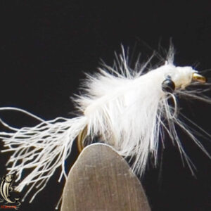 FlyCF1131_932