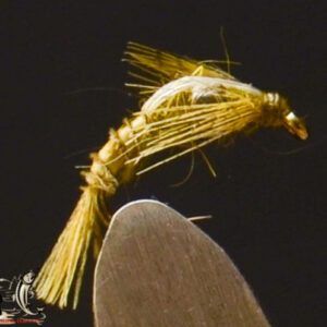 FlyCF1131_933