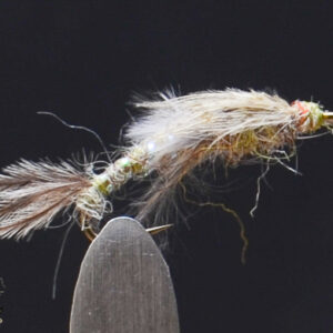 FlyCF1131_935