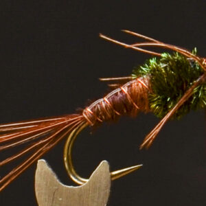 FlyCF1131_936