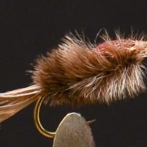 FlyCF1131_937