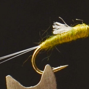 FlyCF1131_938