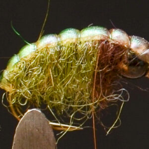 FlyCF1131_940