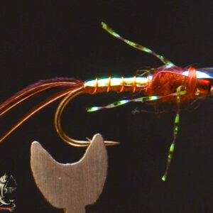 FlyCF1131_942