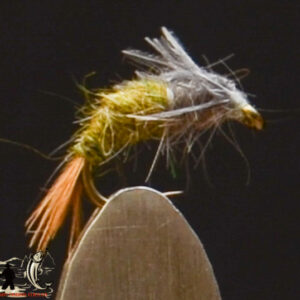 FlyCF1131_946