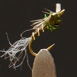 FlyCF1131_949