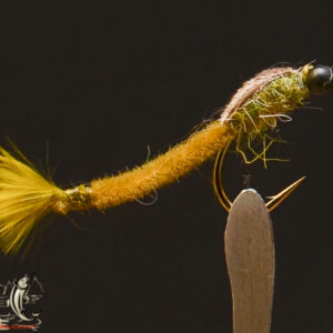 FlyCF1131_952