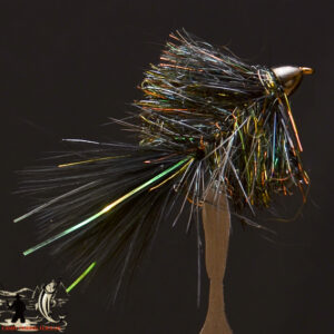 FlyCF1131_955