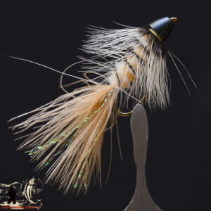 FlyCF1131_957
