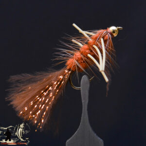 FlyCF1131_958