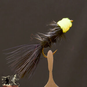 FlyCF1131_961