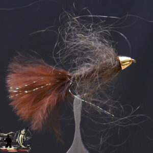 FlyCF1131_962