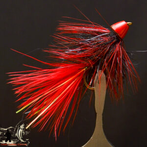 FlyCF1131_963