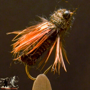FlyCF1131_967