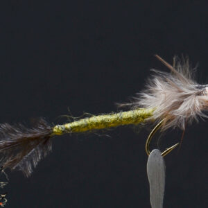 FlyCF1131_969