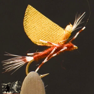 FlyCF1131_970