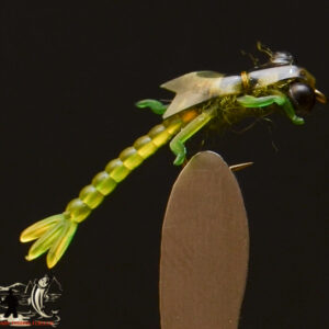 FlyCF1131_971