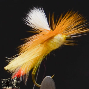FlyCF1131_974