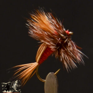 FlyCF1131_976