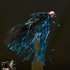 FlyCF1131_977