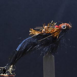 FlyCF1131_986