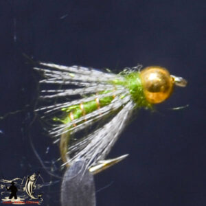 FlyCF1131_992